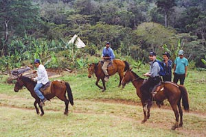Horseback riding around the farm.
