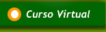curso virtual